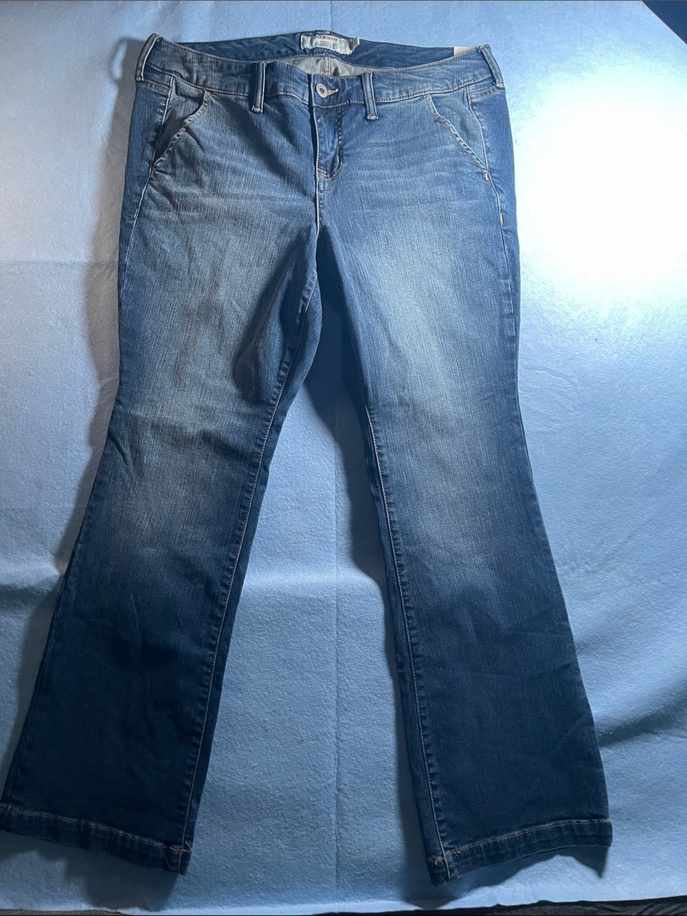 torrid Dark Blue Flared Jeans